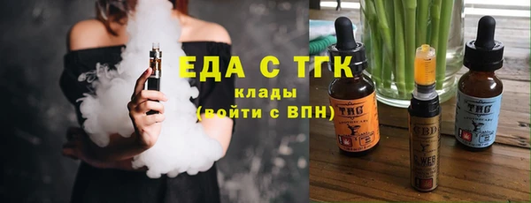 индика Арсеньев