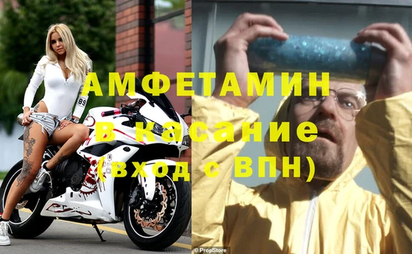 индика Арсеньев