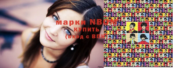 индика Арсеньев