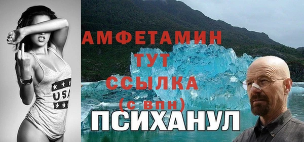 индика Арсеньев