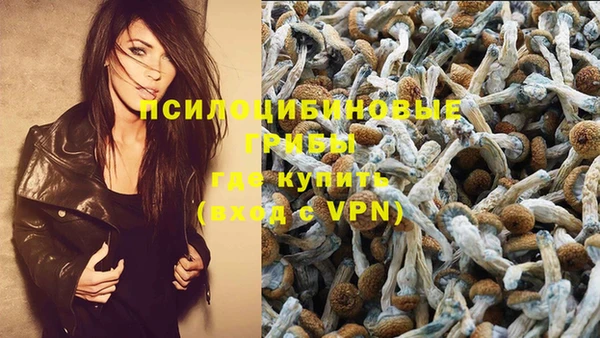 индика Арсеньев