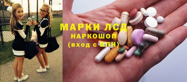 индика Арсеньев