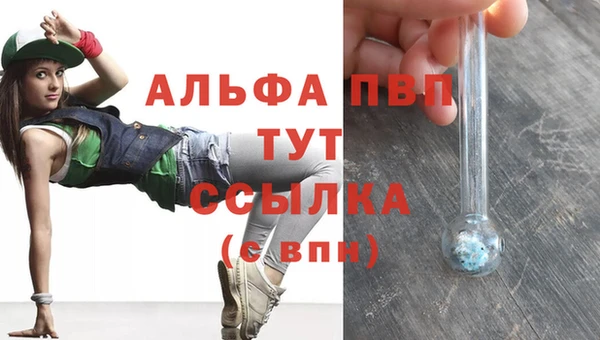 индика Арсеньев